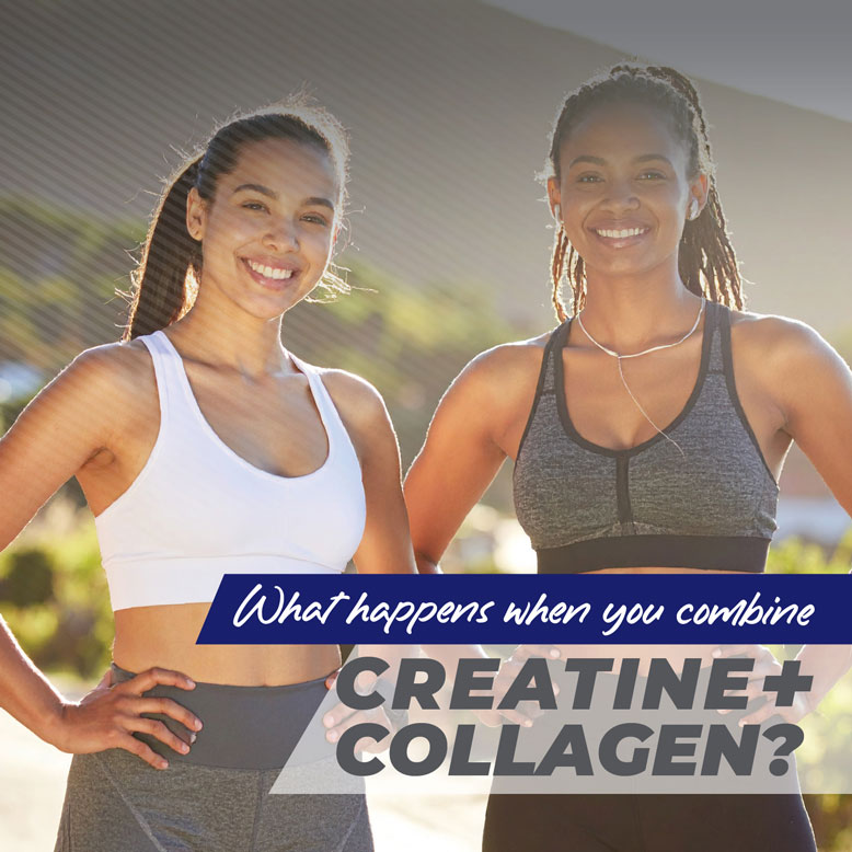 creatine and collagen